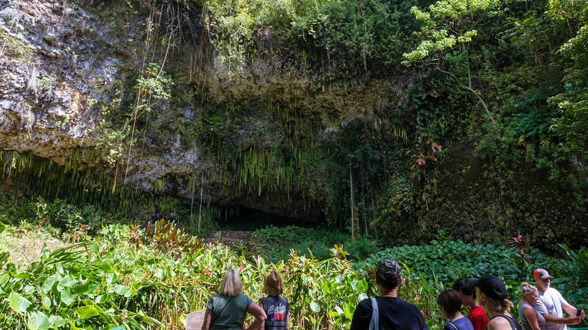 Aloha Hawaii - Discovering Kauai and Maui