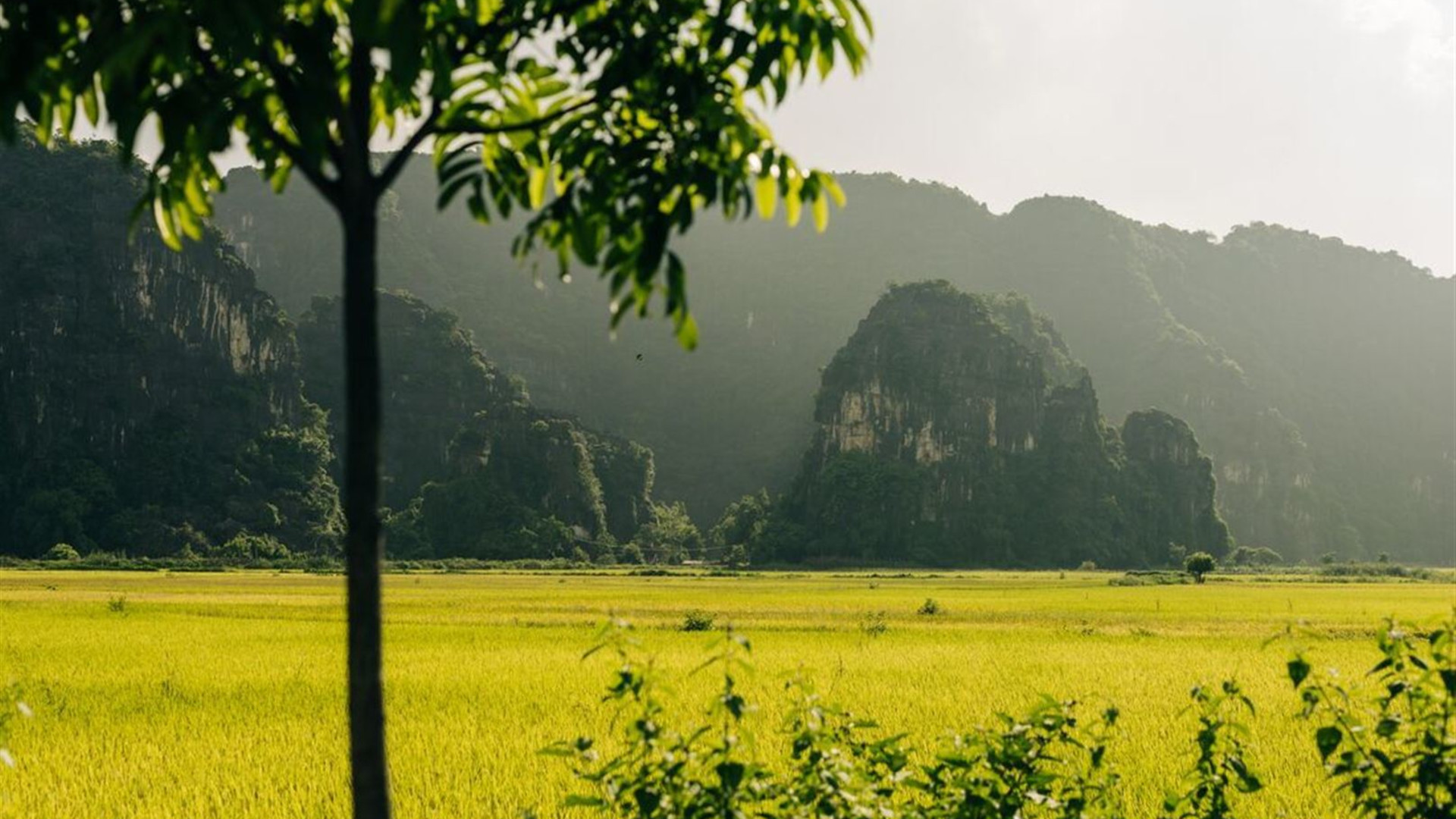 Vietnam Short Break: Hanoi to Ninh Binh	