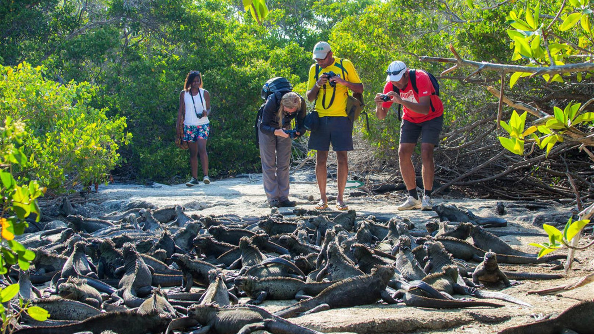 Ecuador, Galapagos & Peru Explorer 