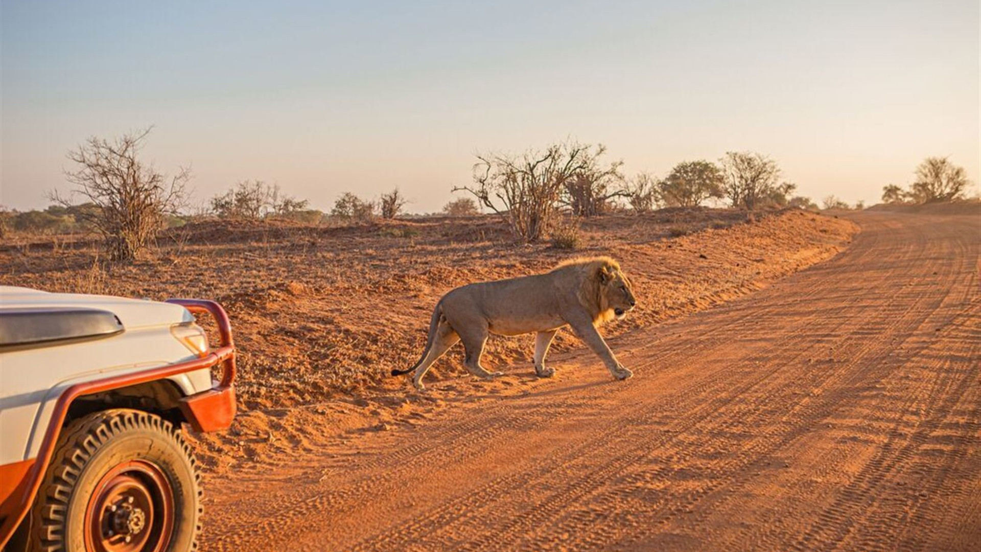 Kenya by Rail: Trains, Safaris & Beaches 