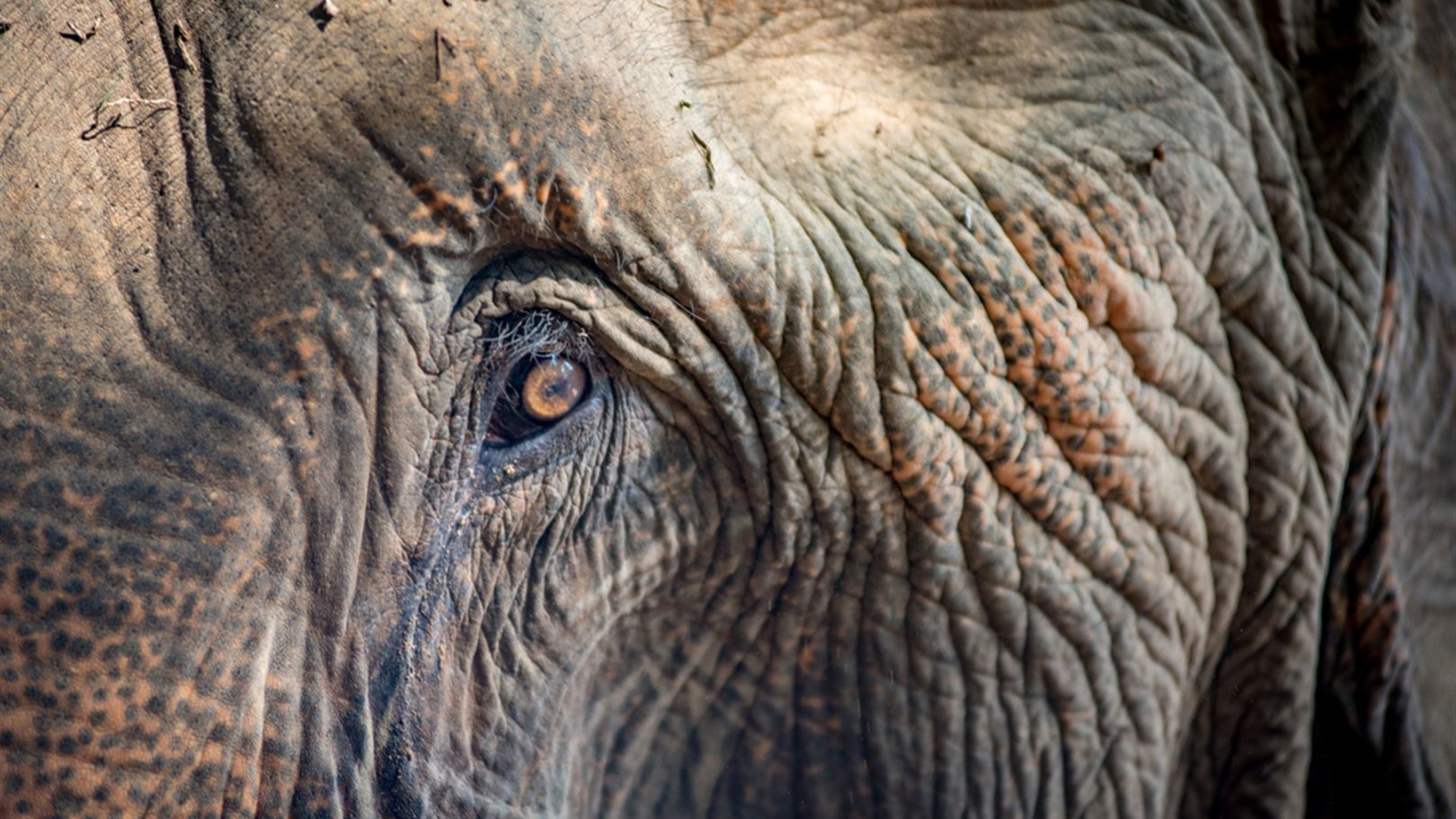 Best of Thailand & Malaysia