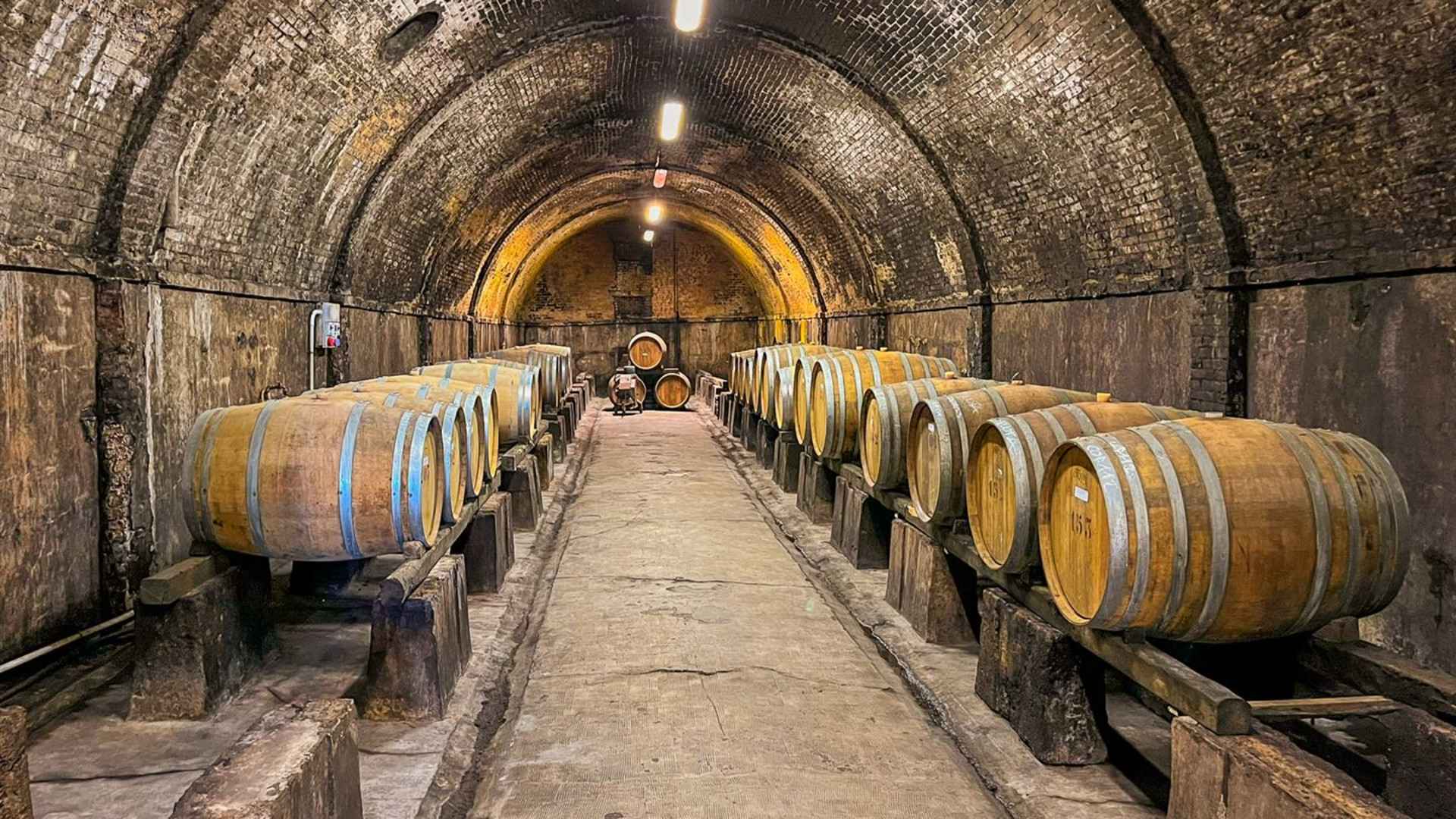 Tuscany Walks & Chianti Wines