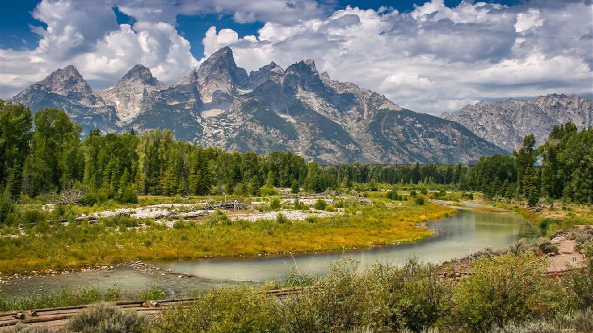 Yellowstone and Grand Tetons Adventure