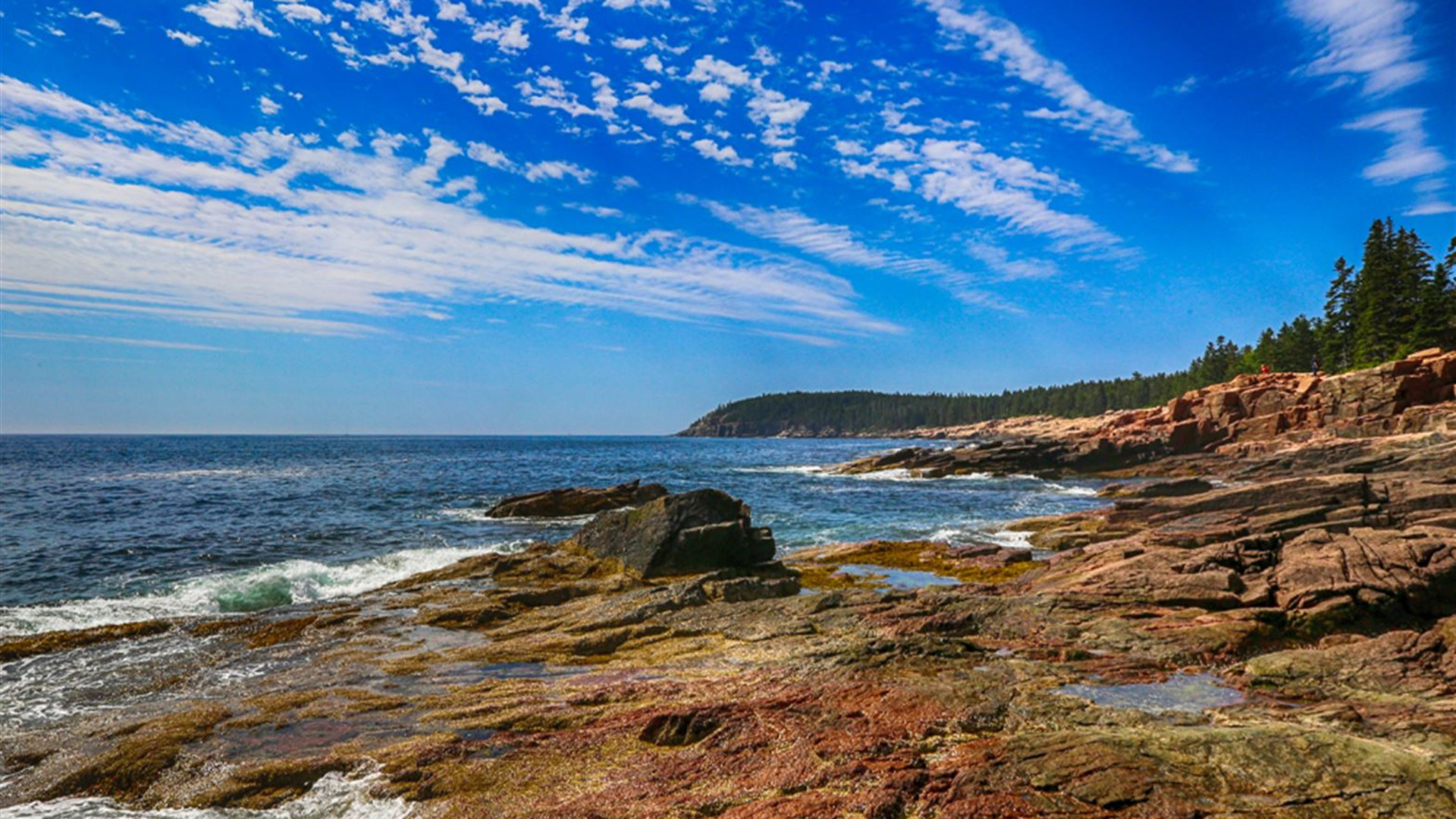 Roaming Coastal Maine