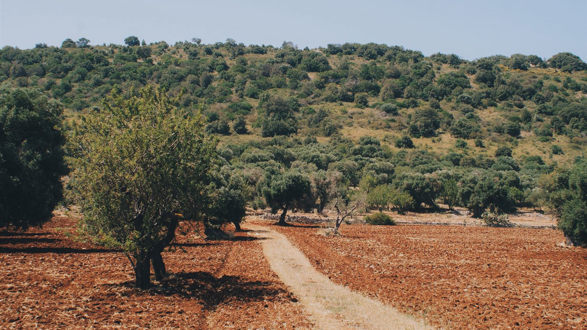 Walking in Puglia & Matera