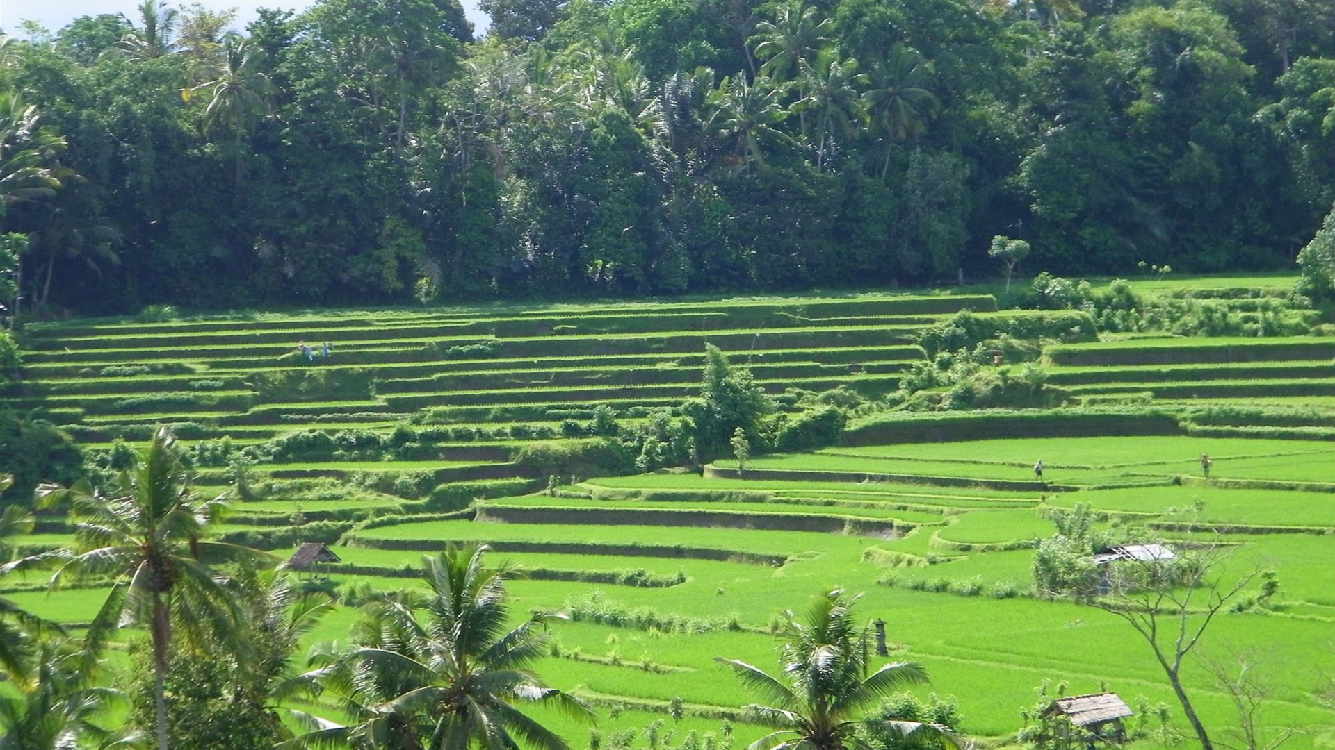 Indonesien: Jakarta, Bali und Lombok
