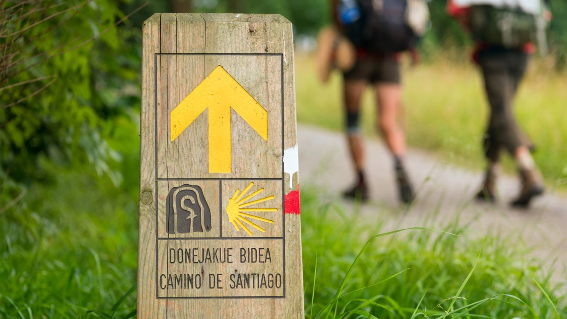 Trekking the Camino de Santiago