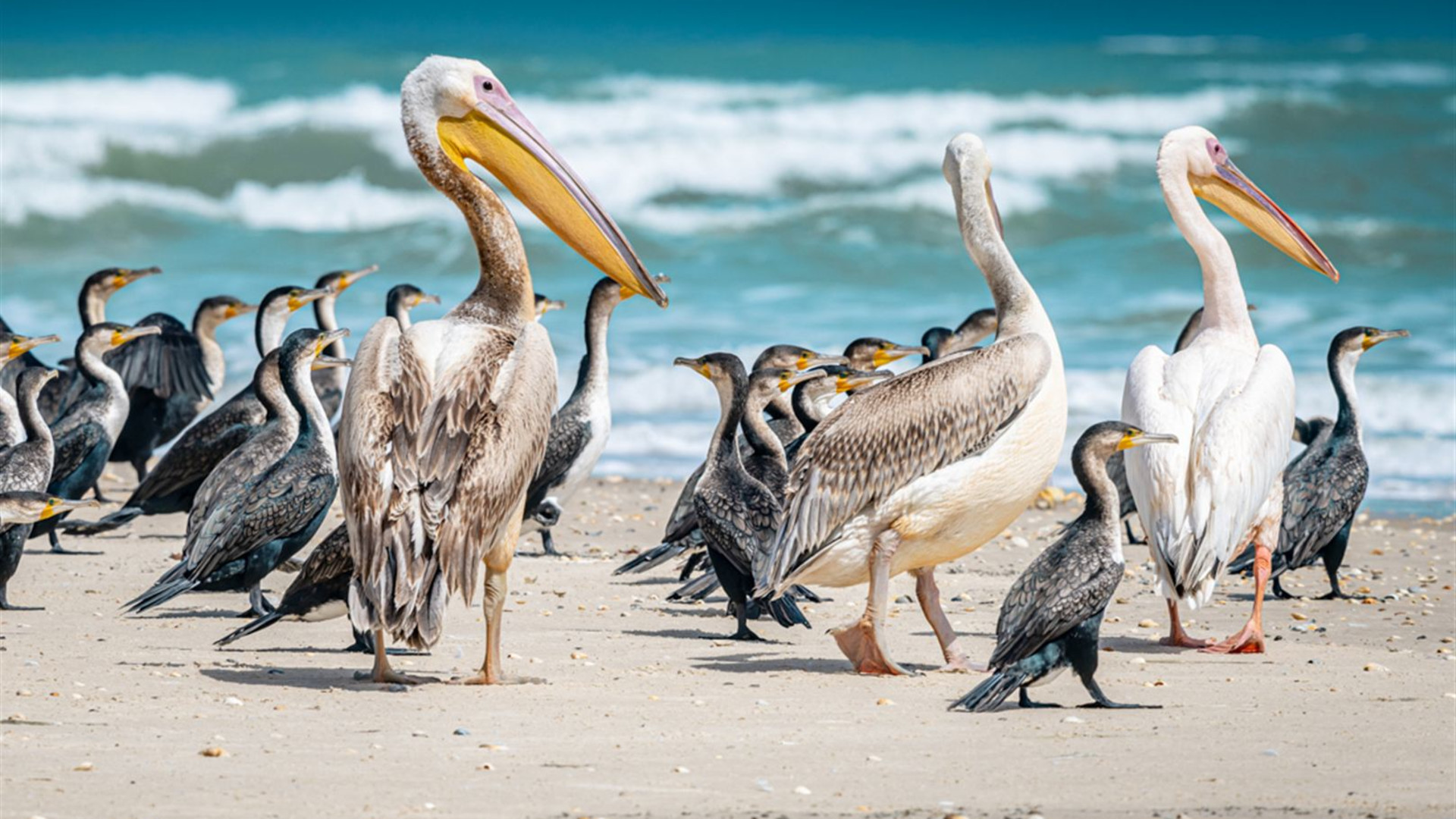 Senegal & The Gambia Adventure