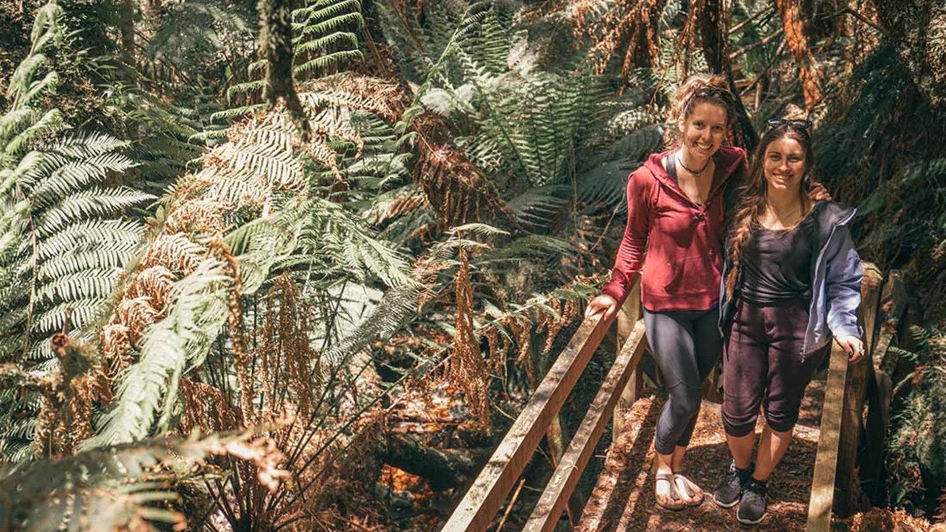 Walk Tasmania's Tarkine & Cradle Mountain