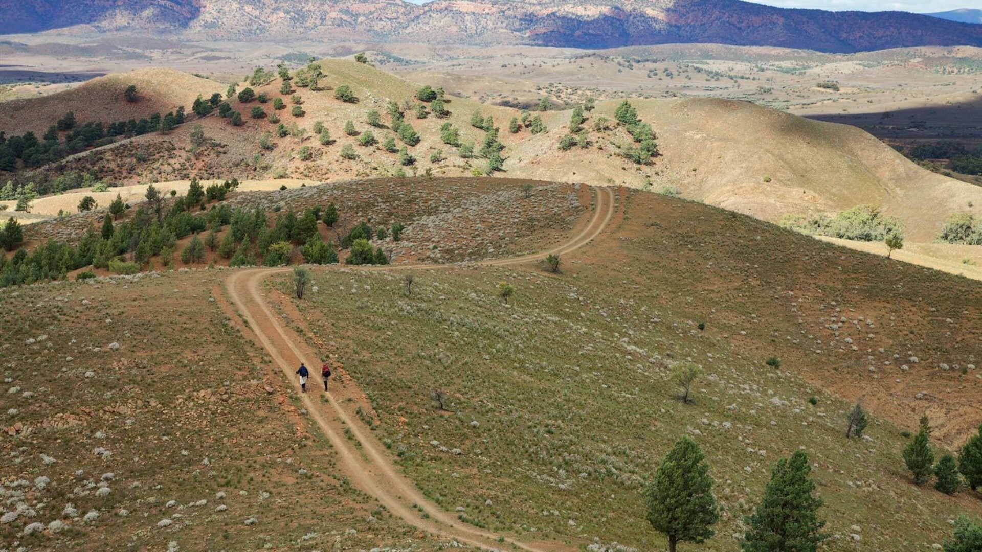 South Australia's Arkaba Walk (ex-Adelaide)