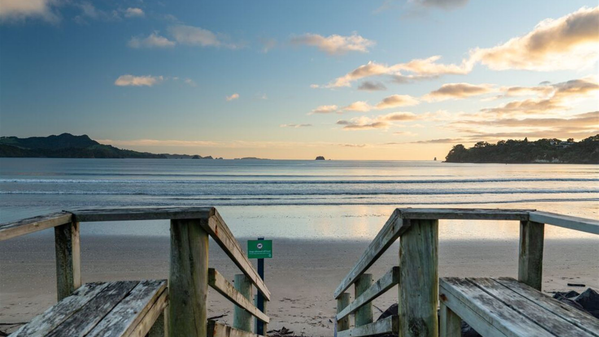 New Zealand Amplified