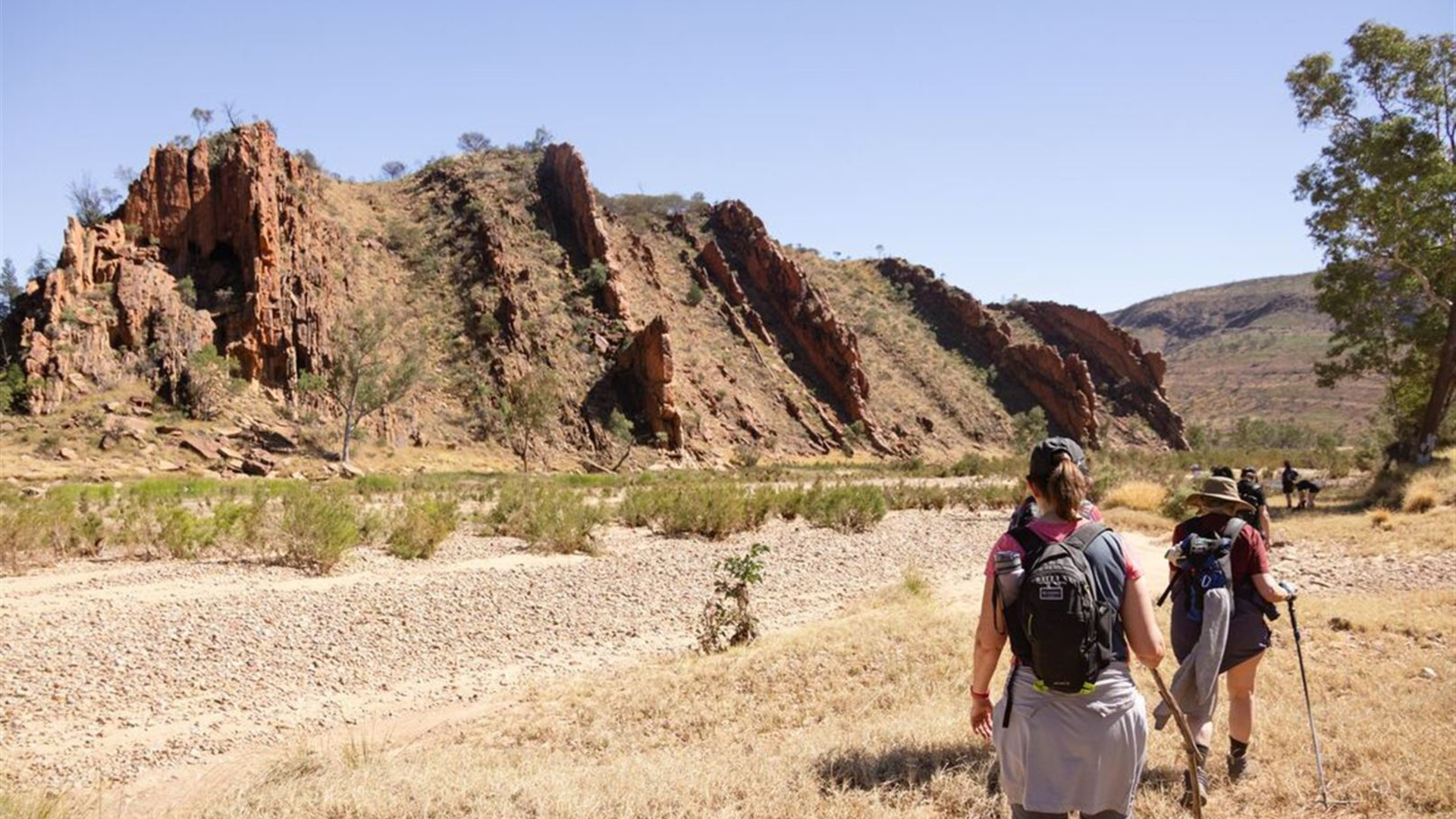 Hike the Larapinta Trail