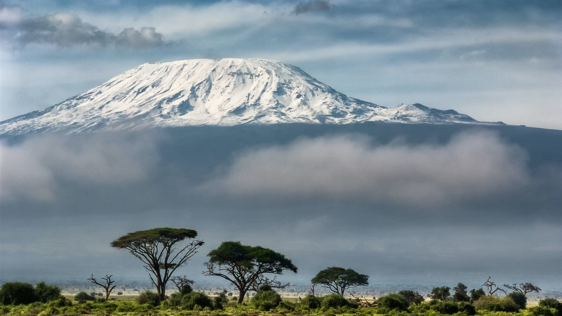 The Plains of Africa