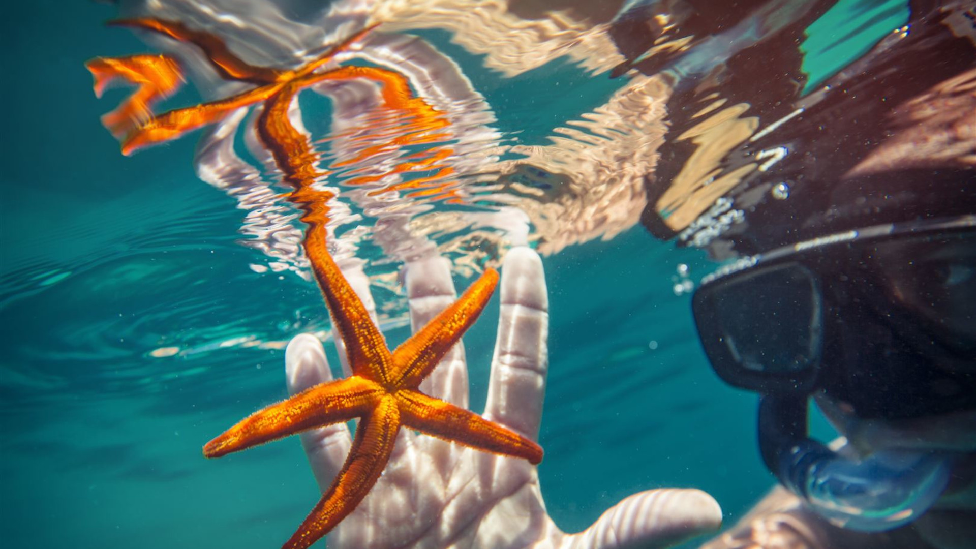 Segeln in Montenegro   –  Von Dubrovnik nach Dubrovnik