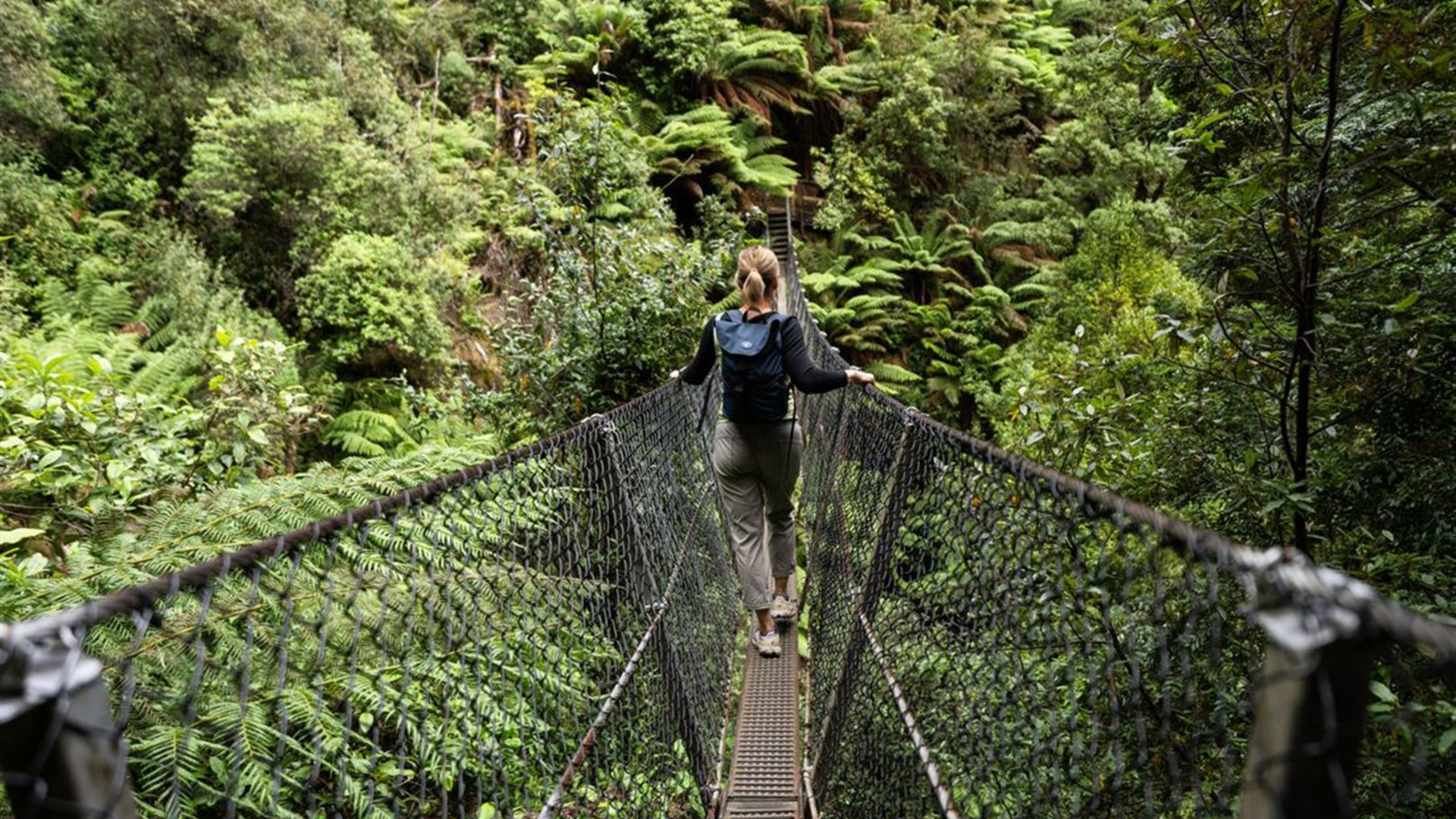 Best of Tasmania's Tarkine & Cradle Mountain