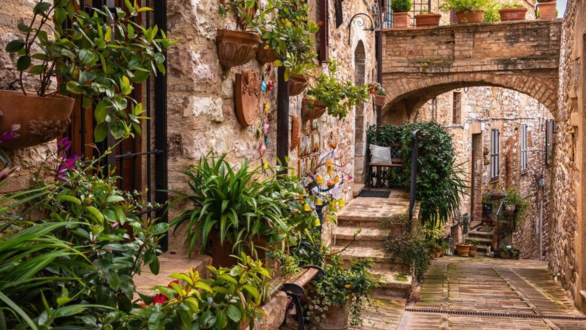 Italy Experience