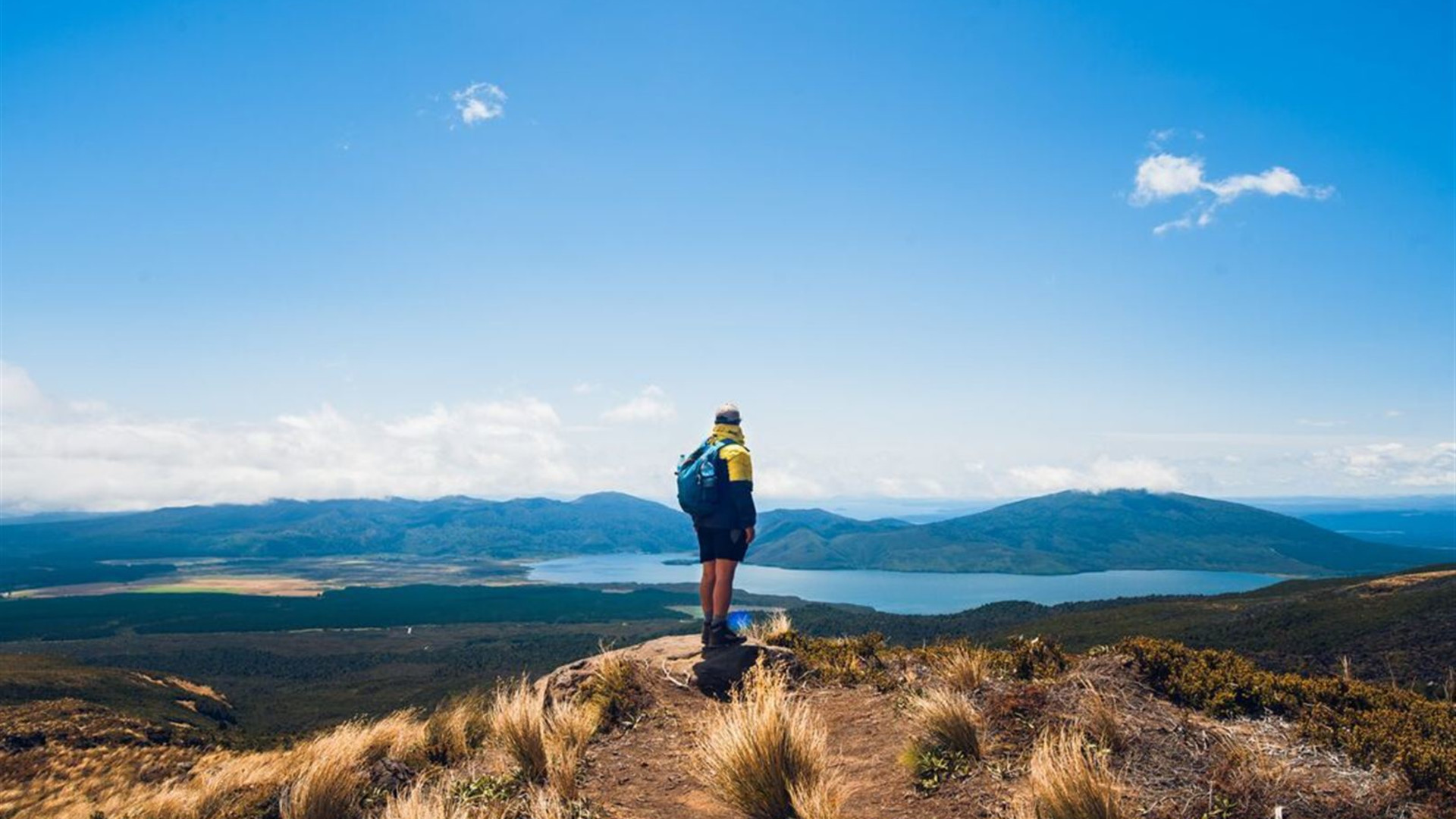 New Zealand North to South Island Adventure