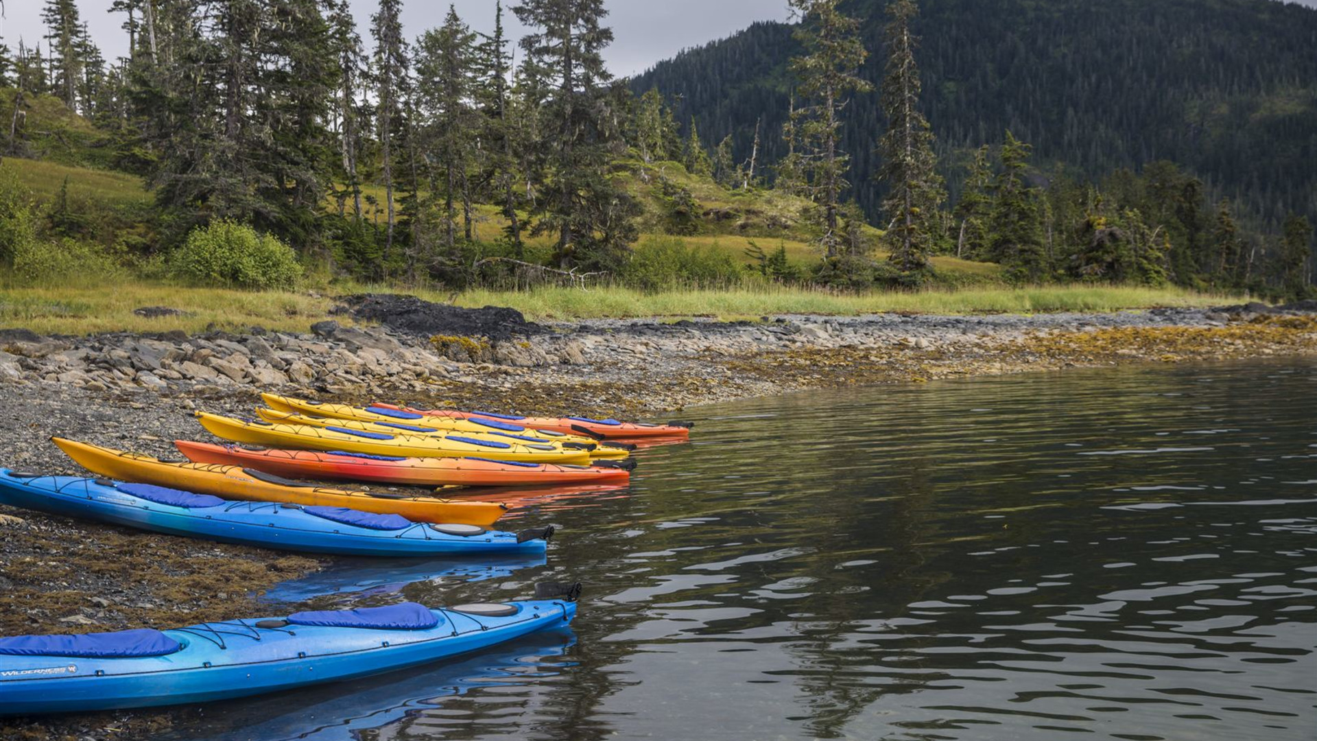 Alaska – Kenai- & Denali-Nationalparks