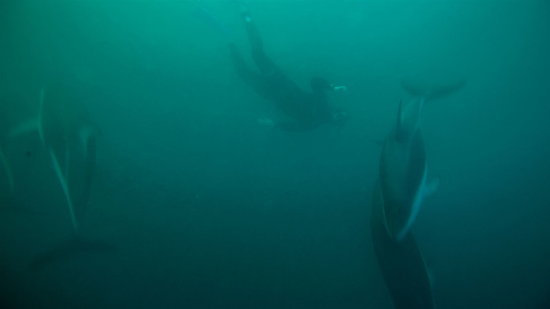 Signature: Egypt & Jordan's Ancient Wonders