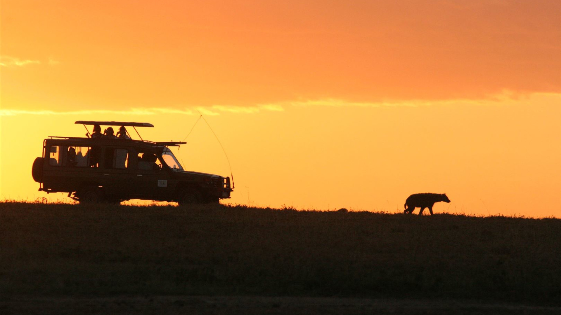 Wilderness of Southern Africa