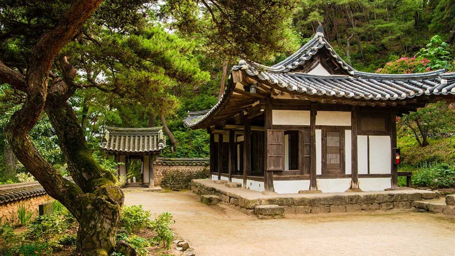 South Korea Highlights
