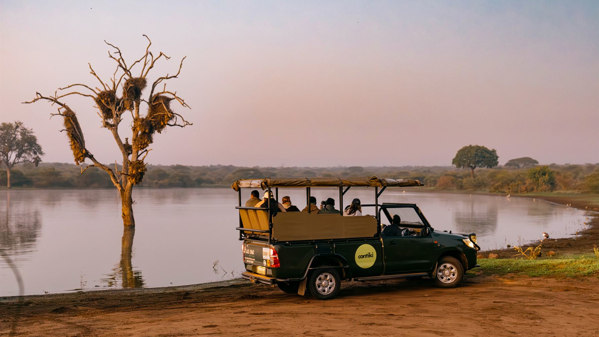 Cape, Safari and Falls