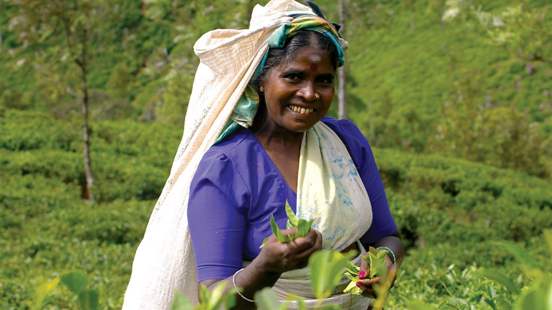 Premium Sri Lanka in Depth