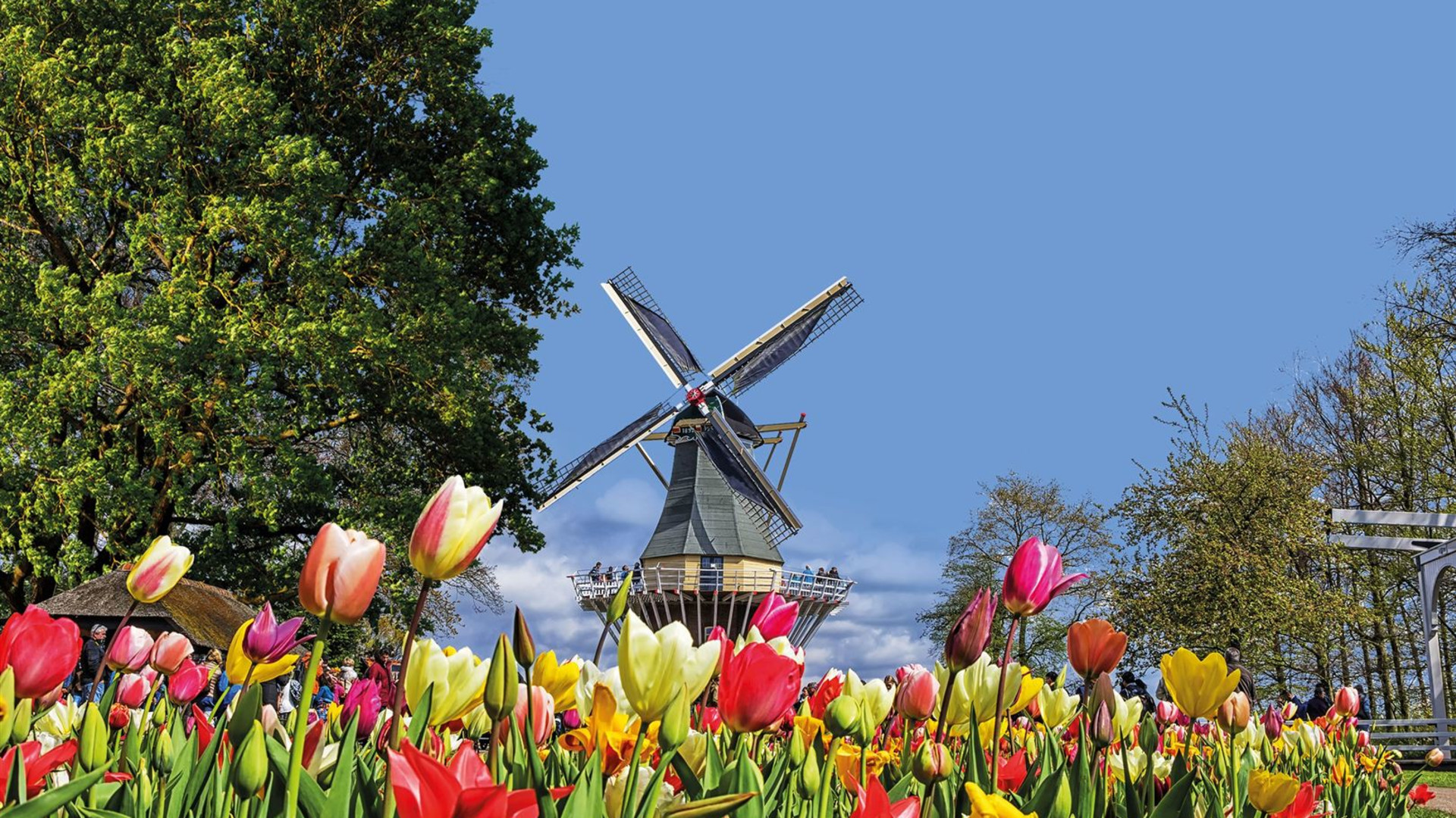 Country Roads of Belgium, Luxembourg & the Netherlands