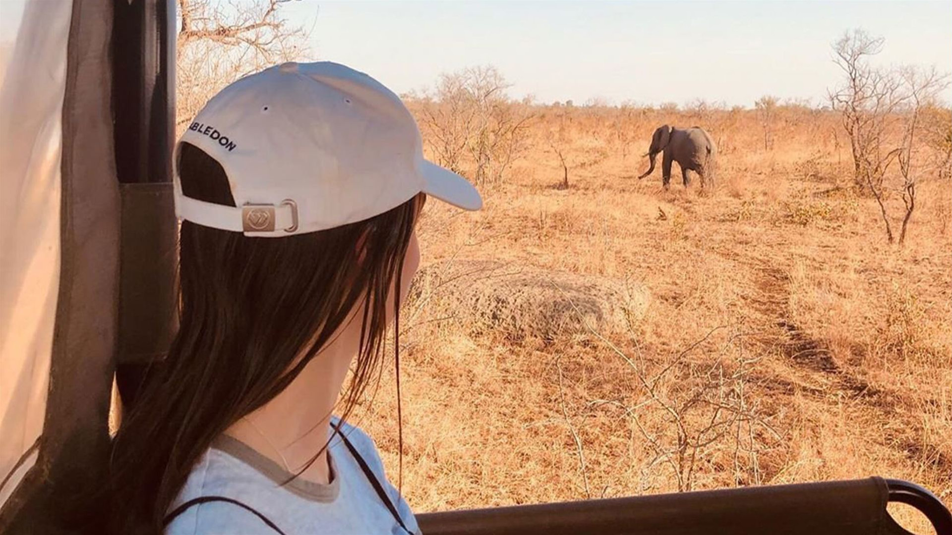 Ultimate African Safari: Kruger, Hwange, Chobe, & the Okavango Delta