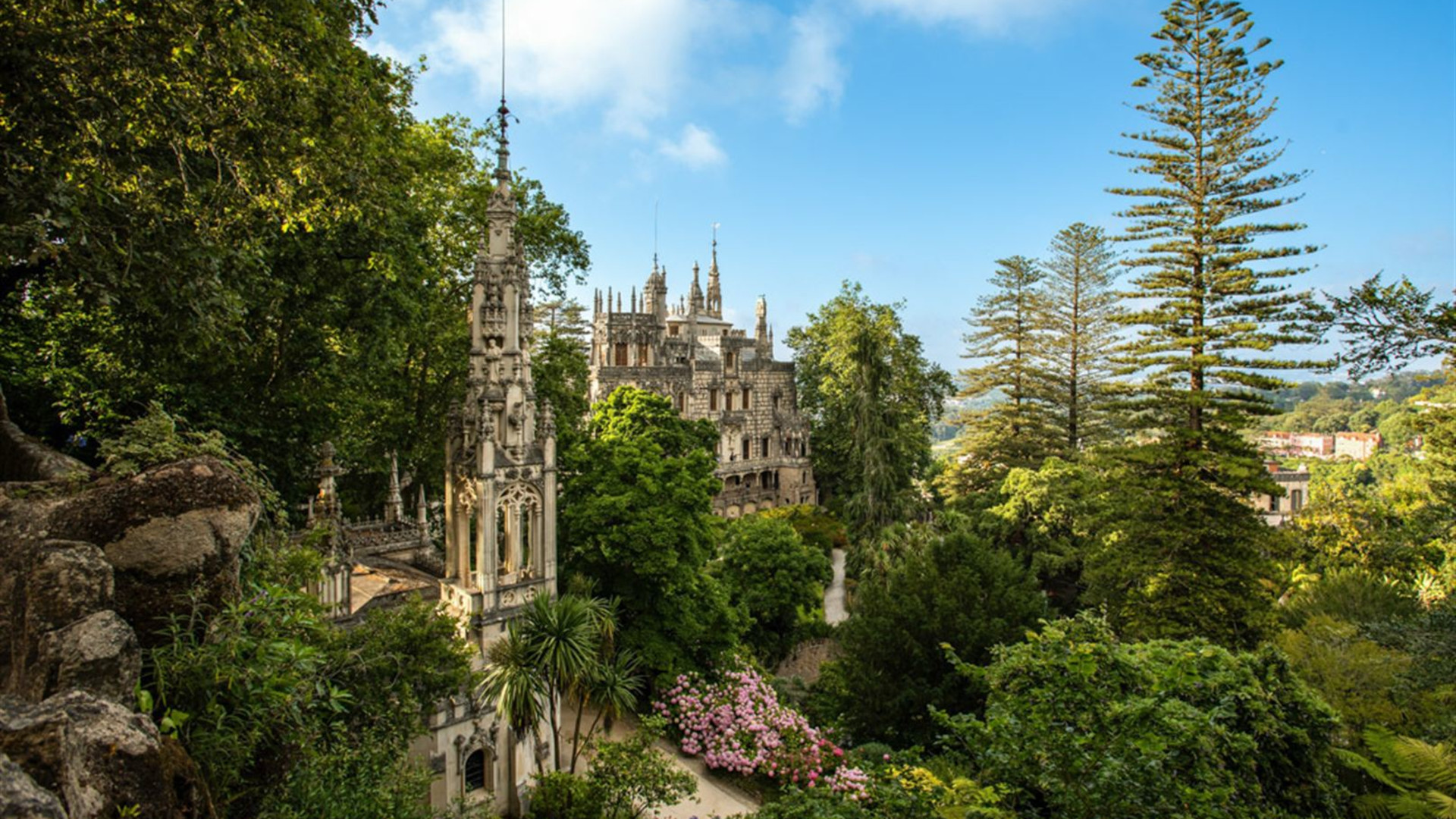 Premium Portugal