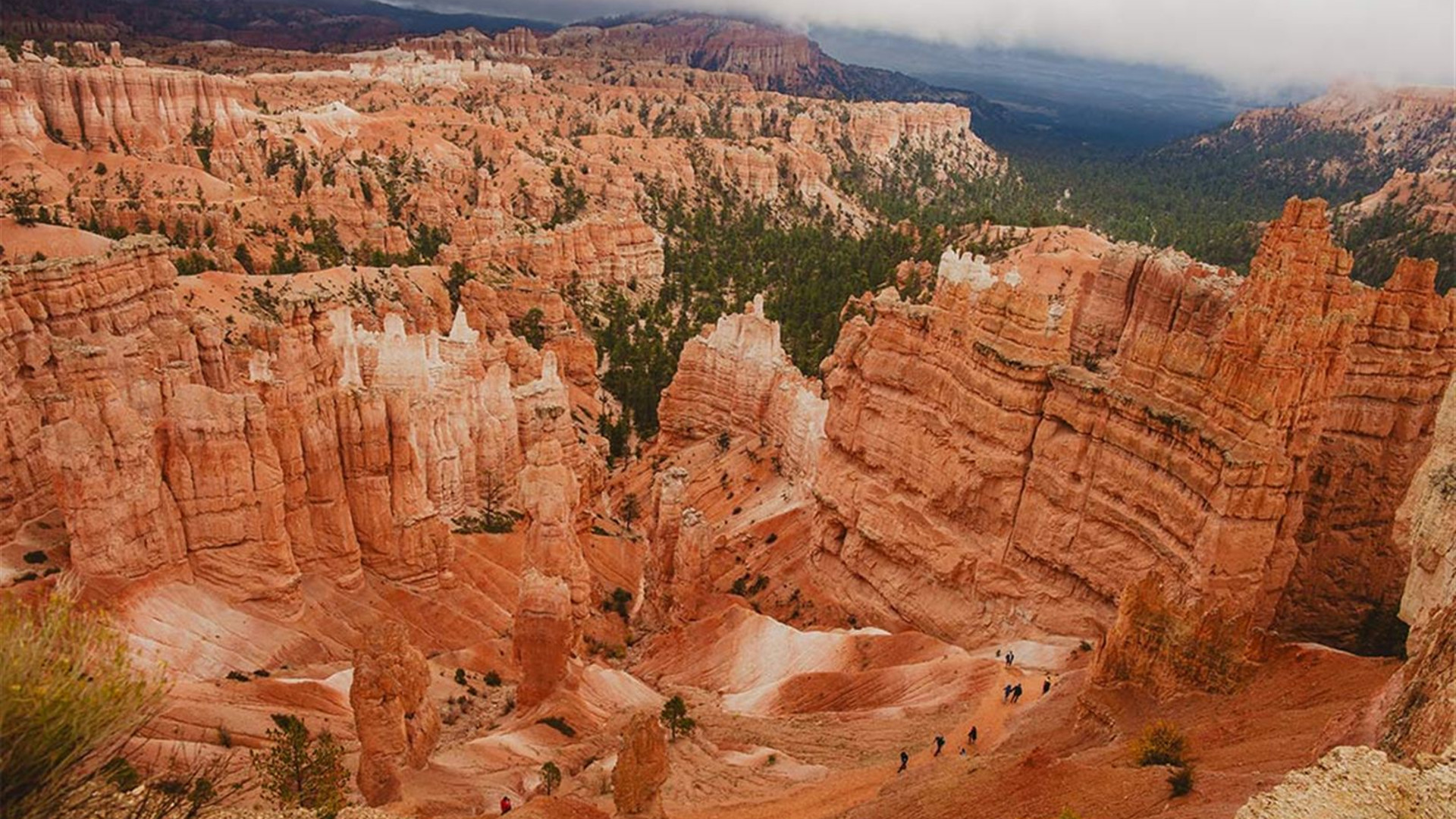 Discover Southwestern USA