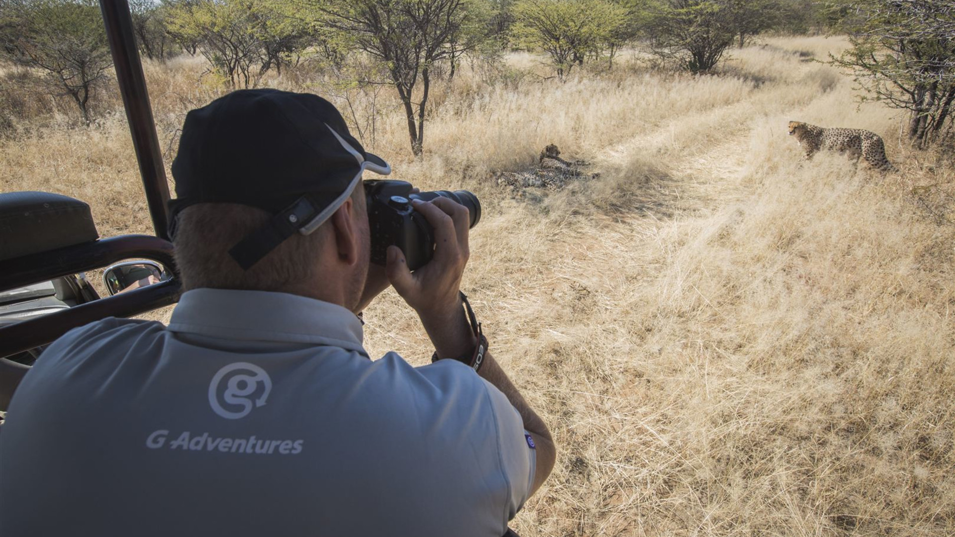 Journeys: Highlights im Süden Afrikas