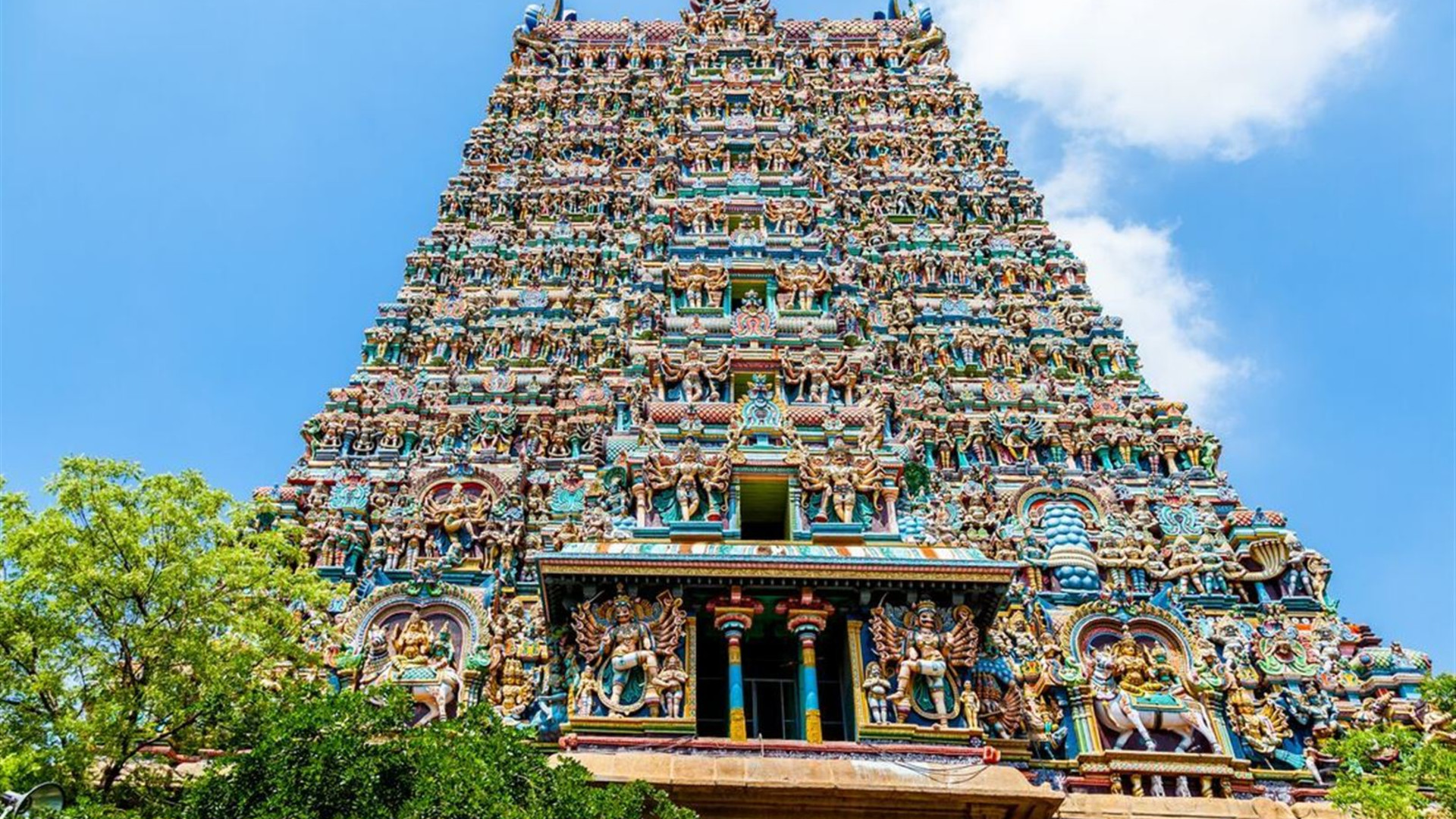 South India Revealed