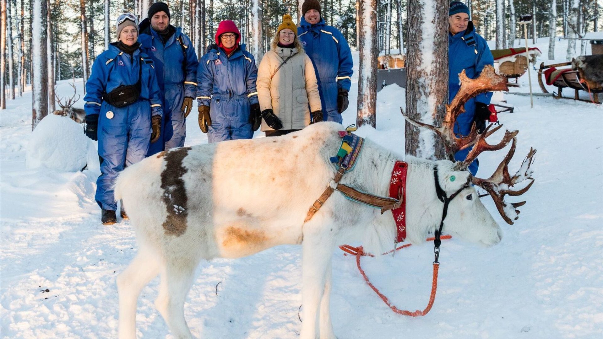 Finnish Lapland in Winter