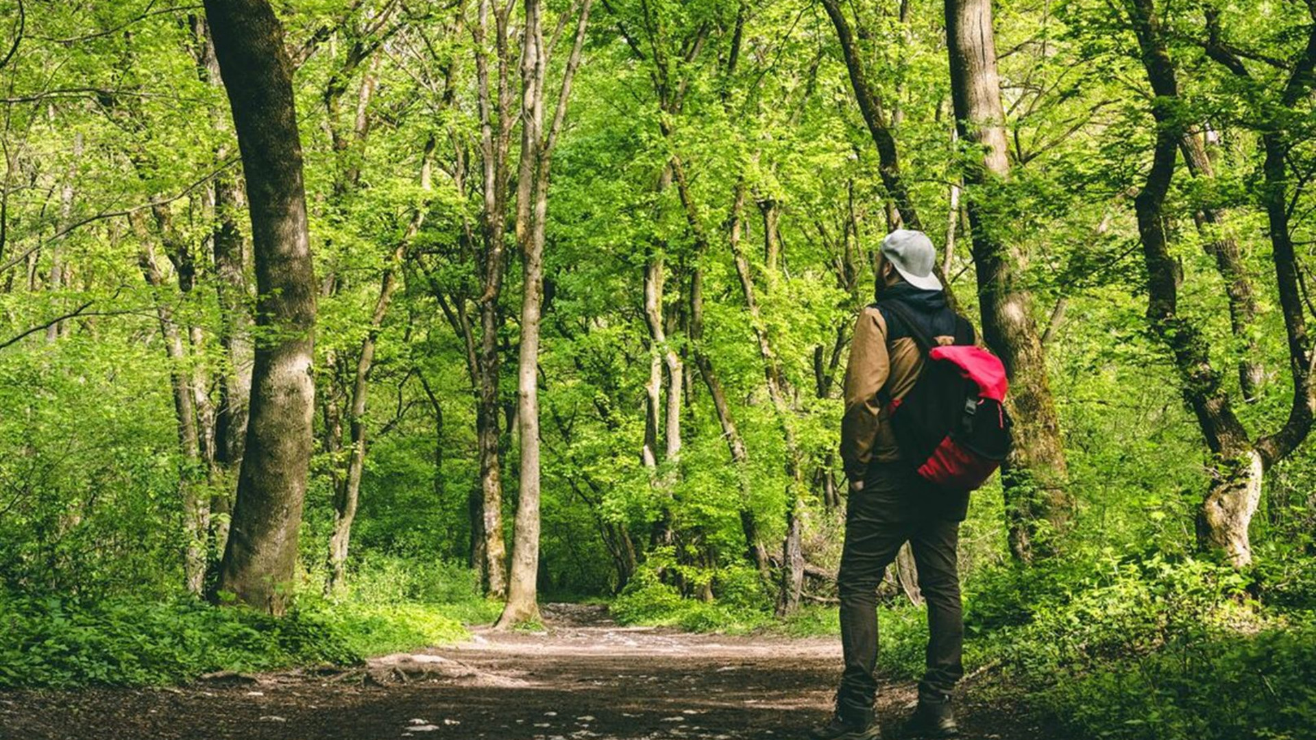 Hiking in Romania: Via Transilvanica Trail