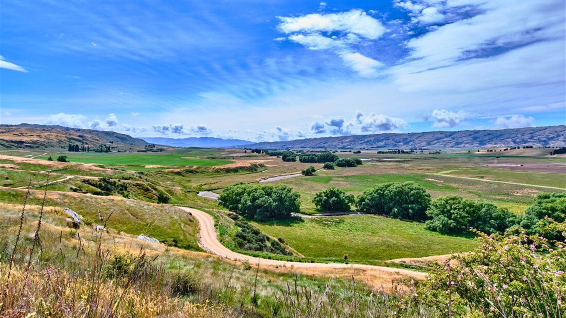 Cycle New Zealand: Otago Rail Trail