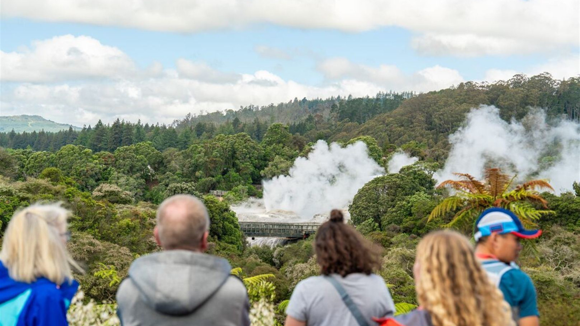 New Zealand Northern Trail