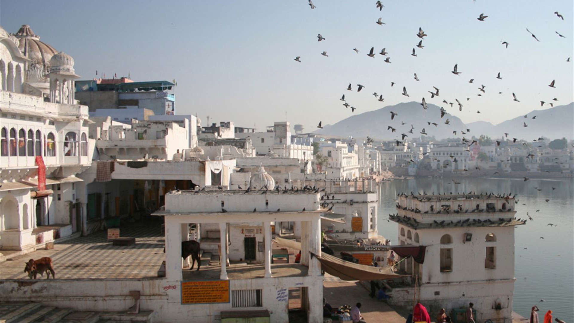 Journeys: Entdecke Indien