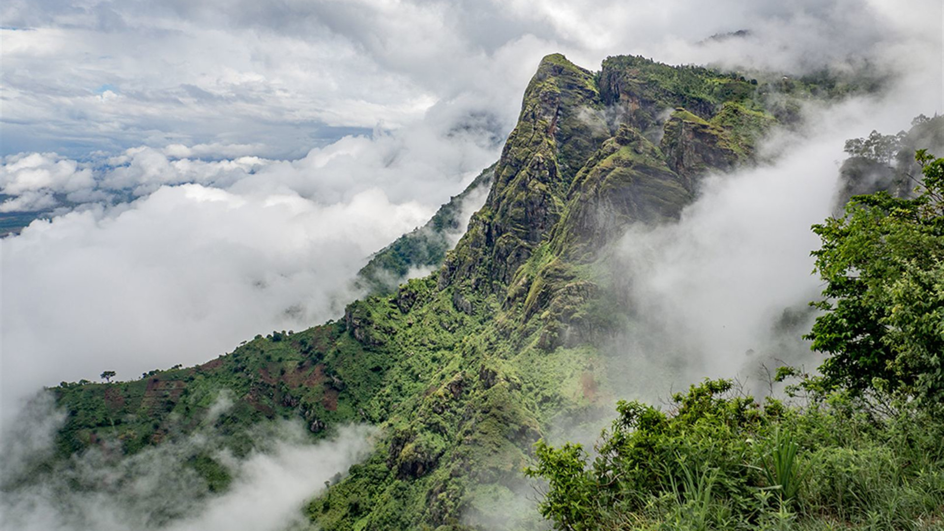 Gorillas, Game Parks & Beaches