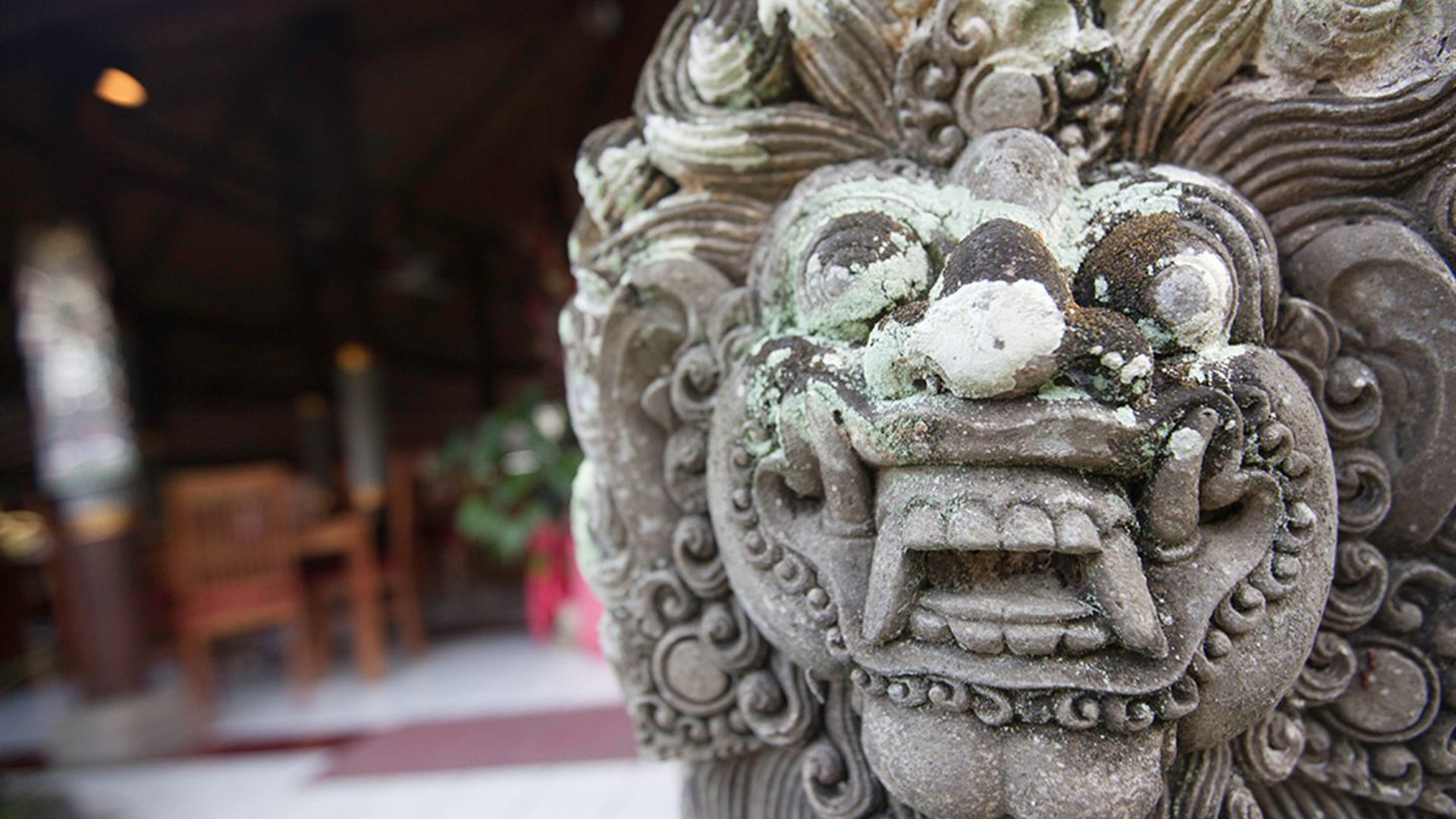 Solo-ish Bali