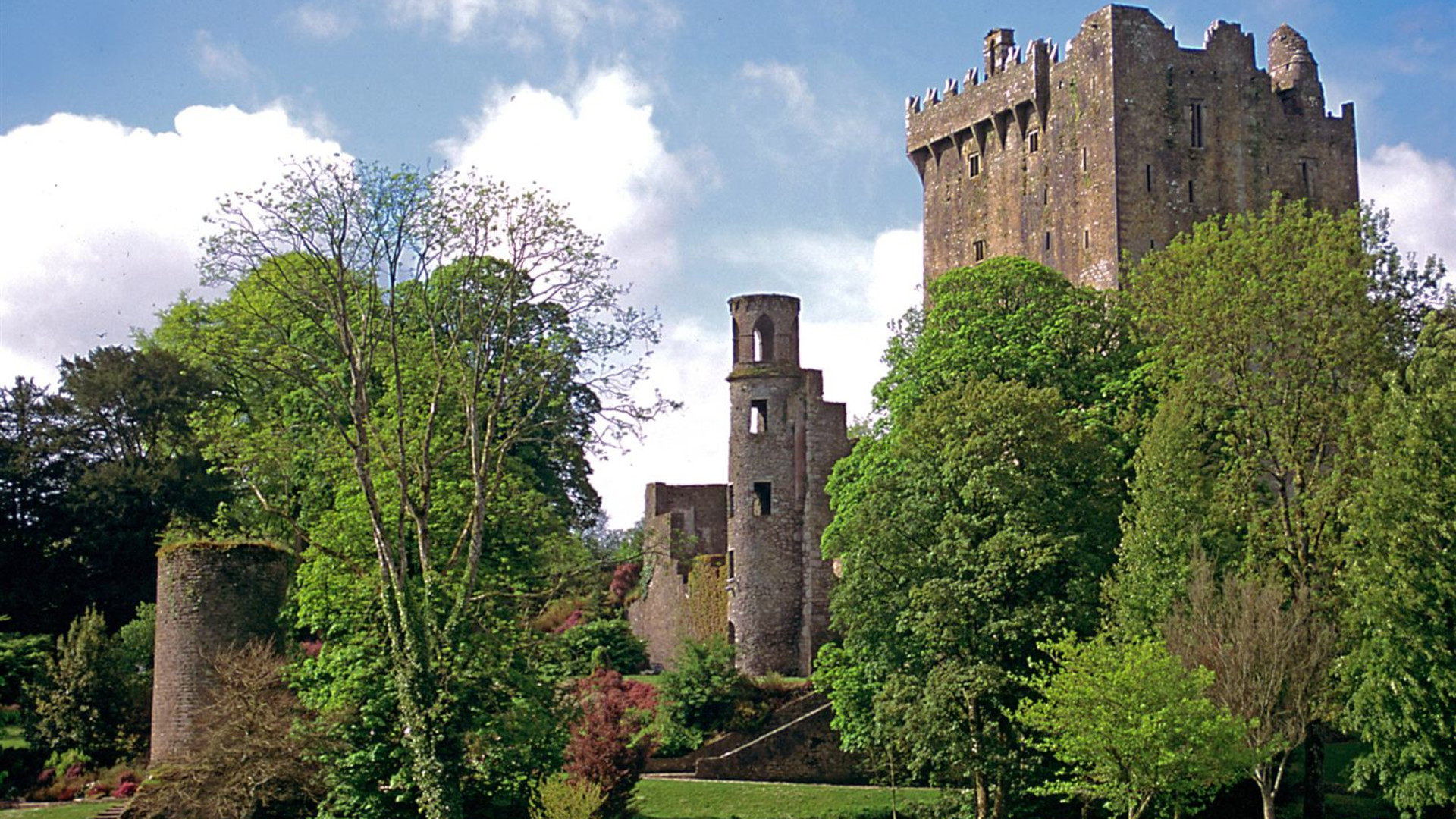 Irish Splendor