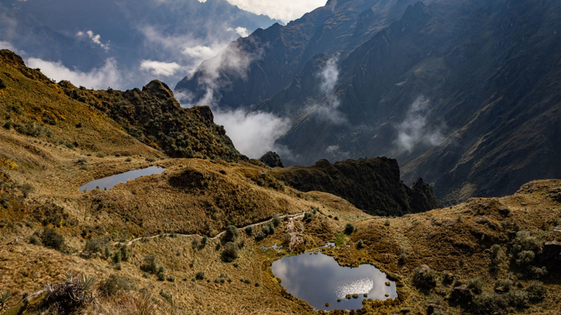 Galapagos Cruise & Peru in Depth (Grand Queen Beatriz)