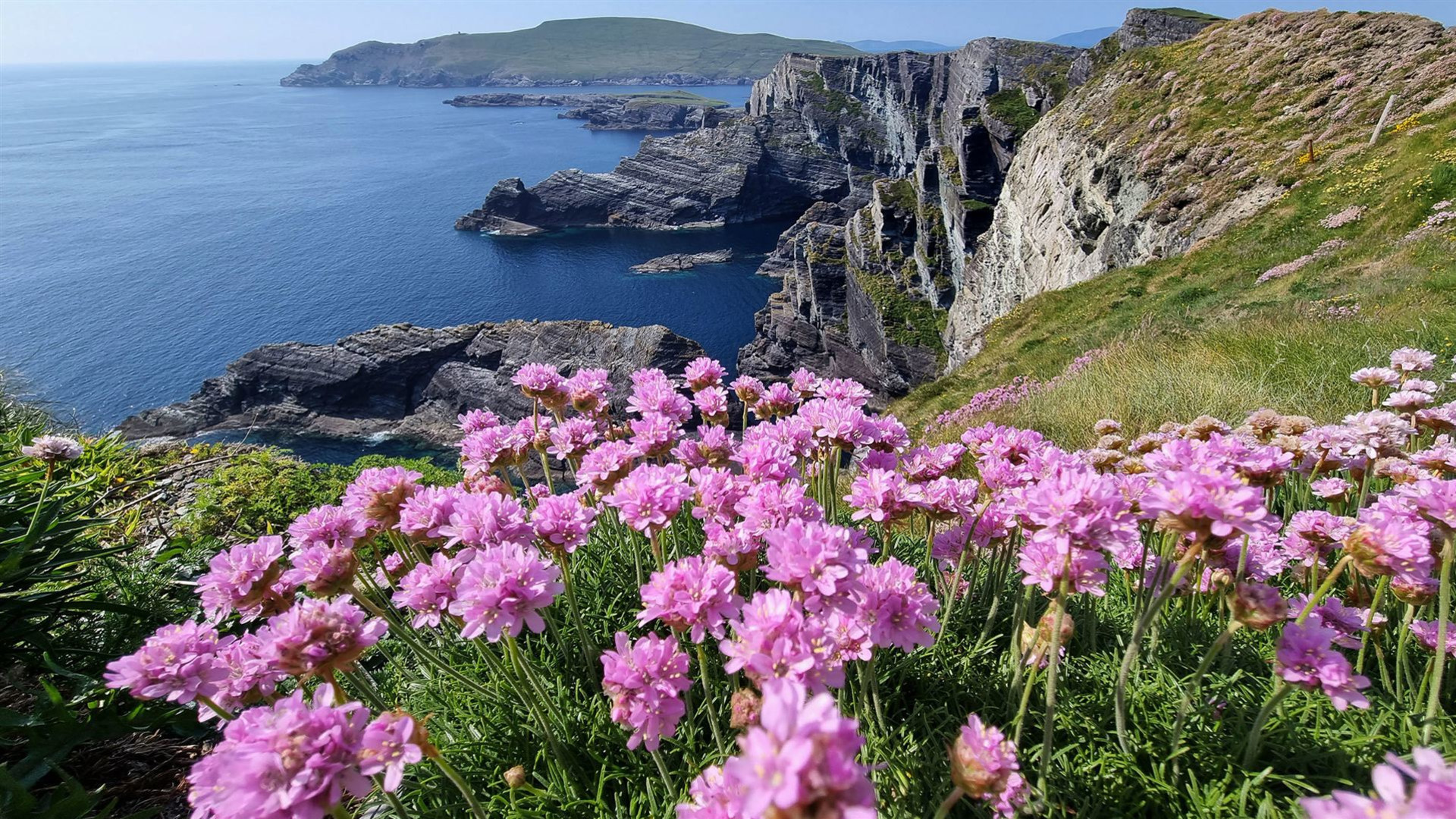 Ireland's Icons - Premium