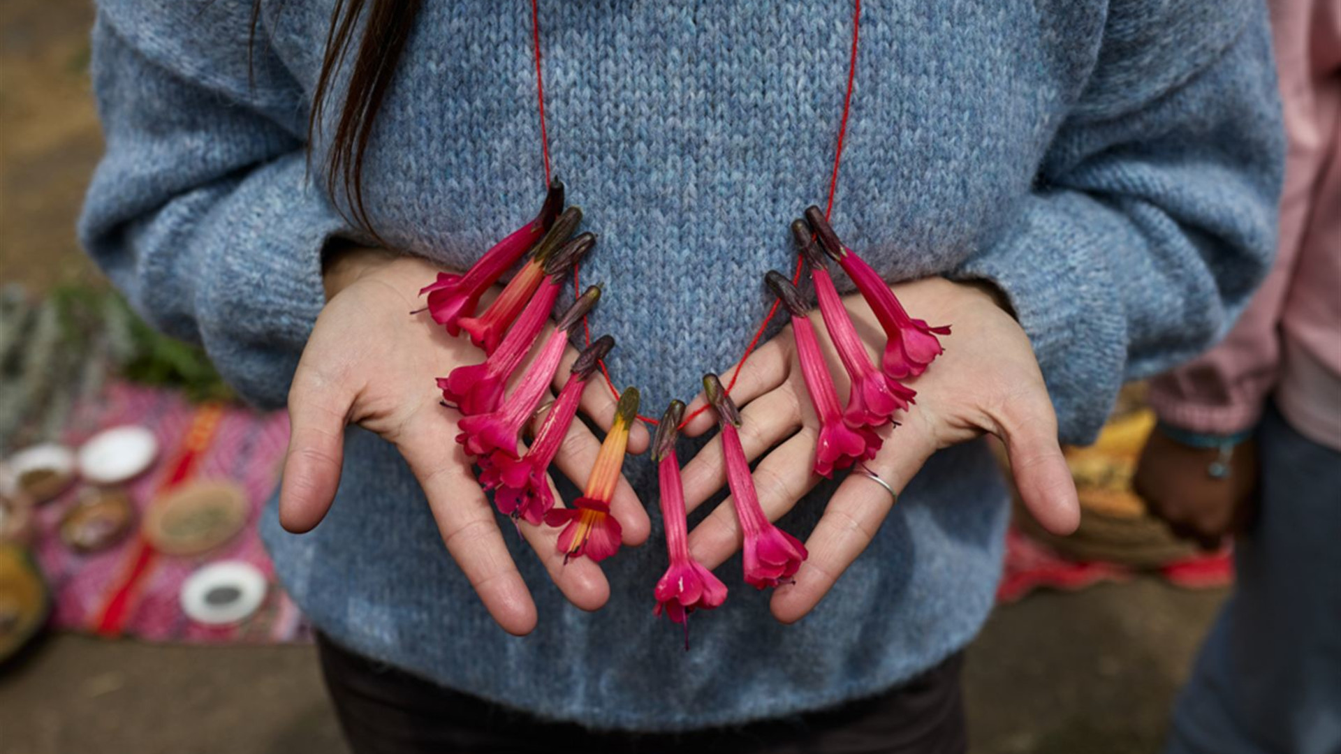 Premium Peru with Ica Valley