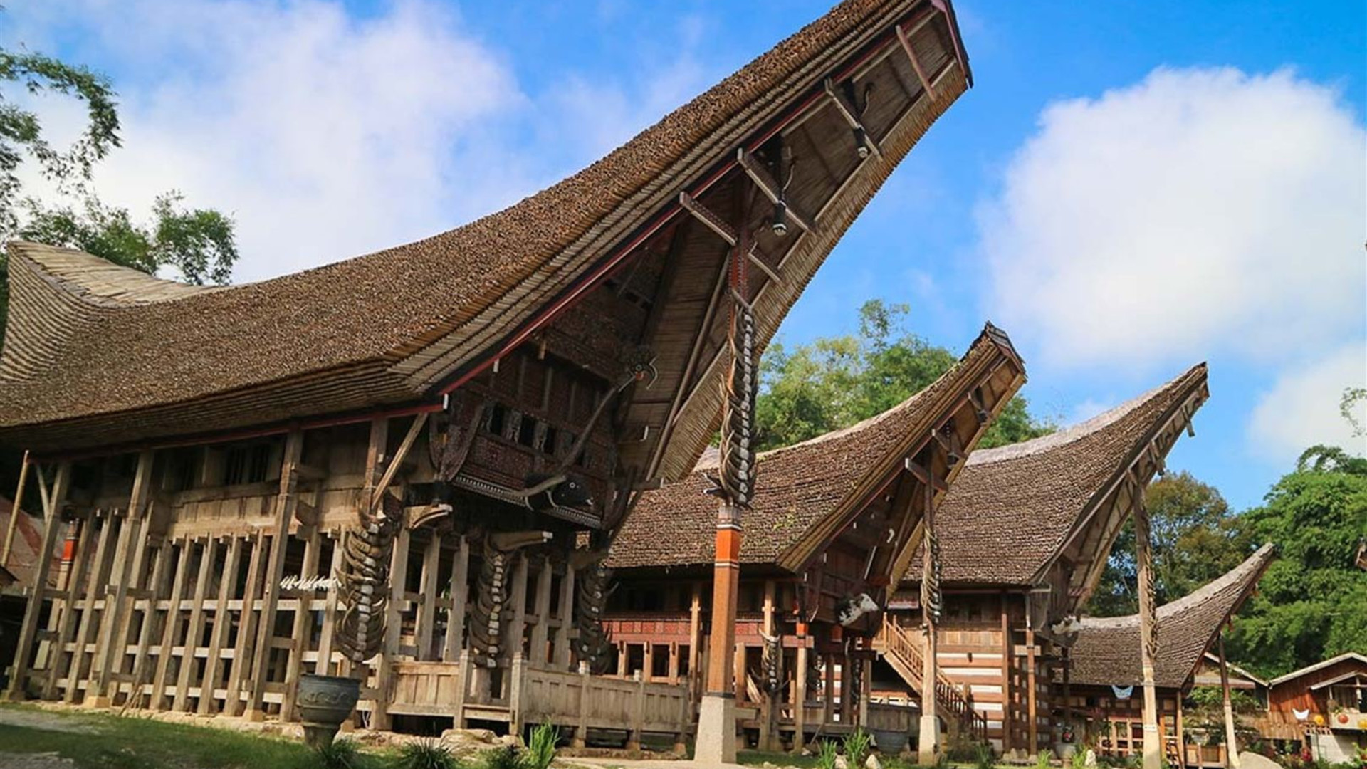 Indonesia Expedition: Sulawesi & Toraja Tribes