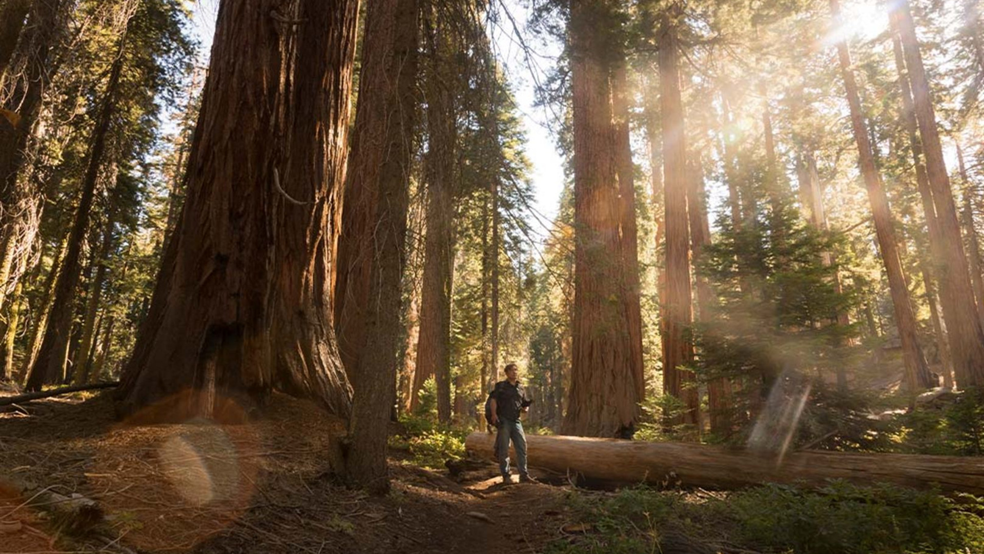 West Coast Discovery