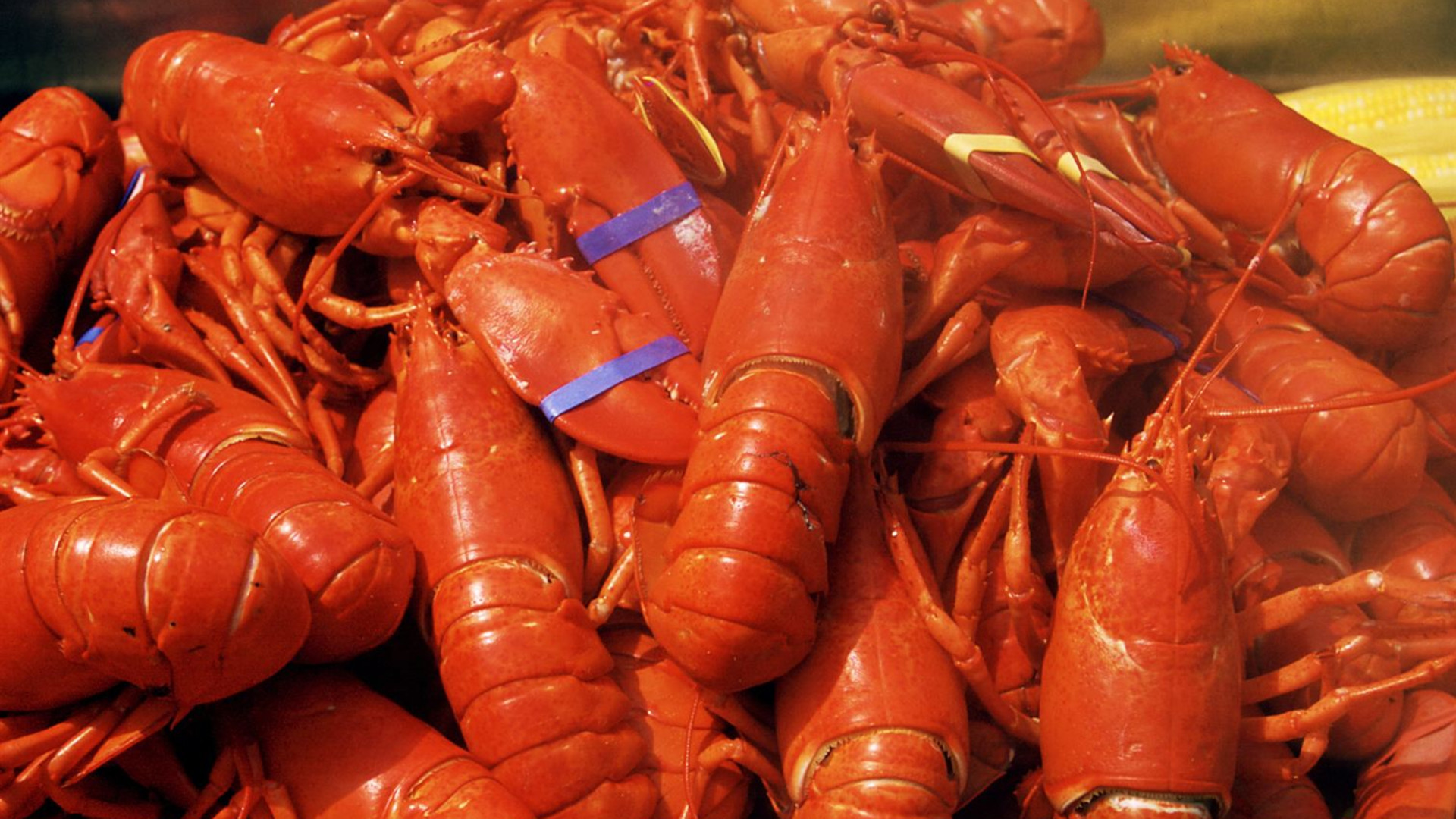 Canadian Maritimes and Coastal Wonders