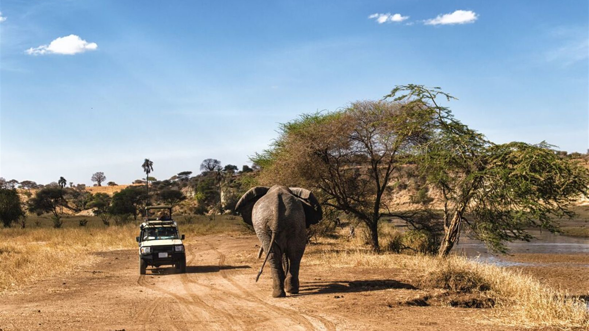 Kenya and Tanzania Family Safari 