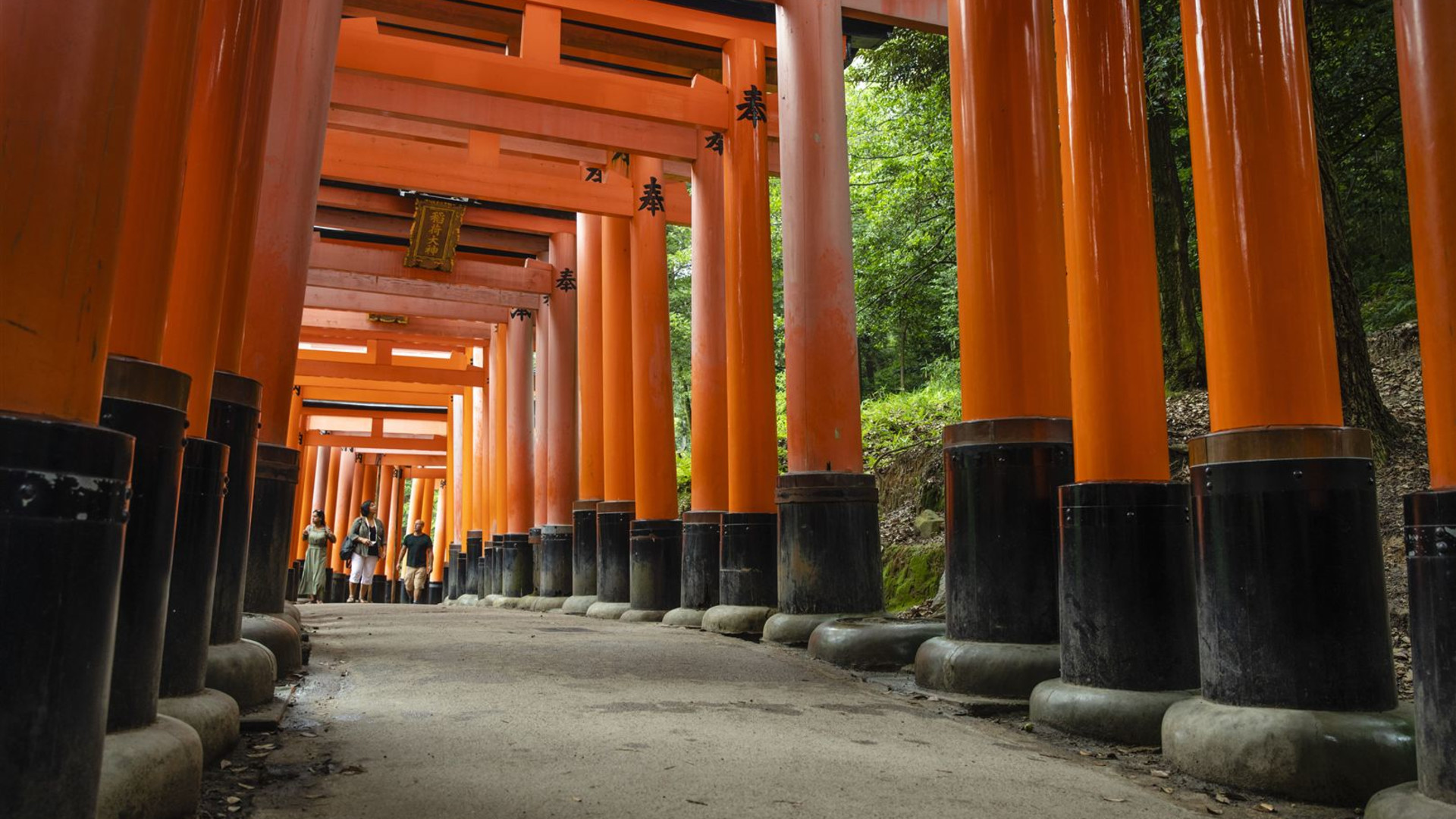 Korea & Japan Encompassed