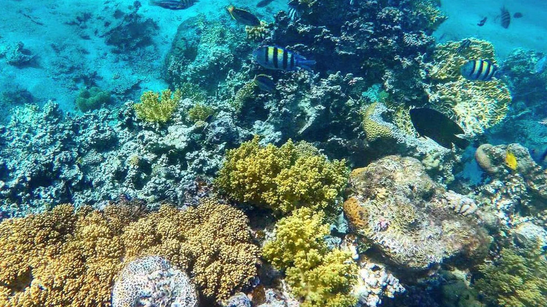 Von Jordanien nach Ägypten: Camping im Wadi Rum und Floating auf dem Toten Meer